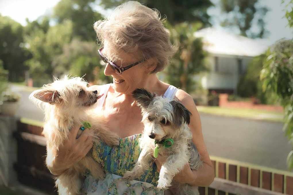 Your Financial Checklist for Adopting a New Dog or Cat