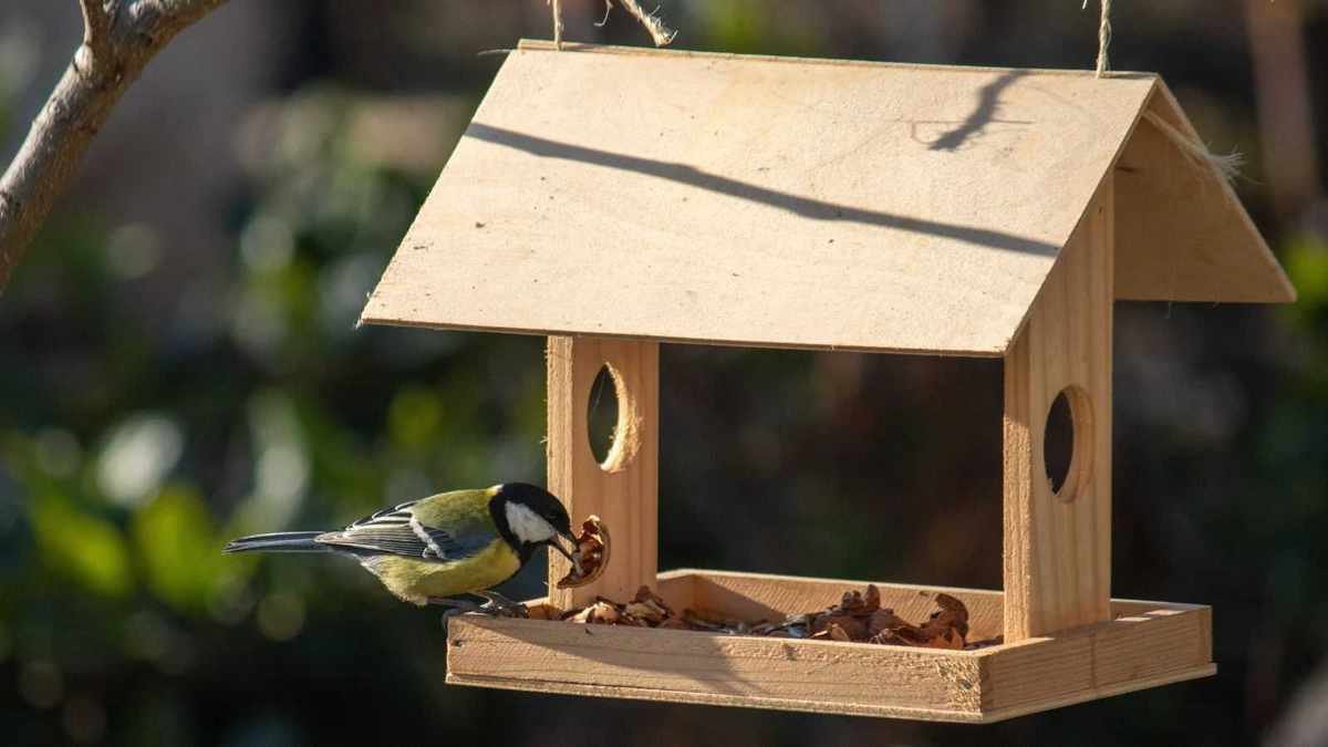 Charming New Bird Feeders Add Whimsy to Your Yard for Just $10