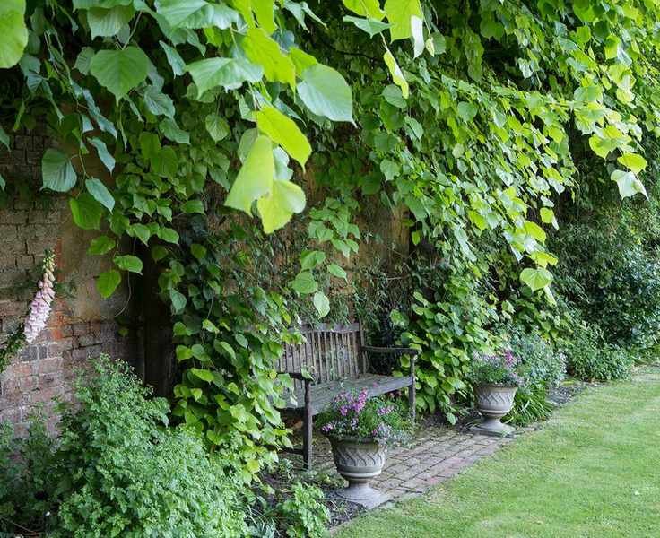 A living wall with a bench surrounded by lush plants