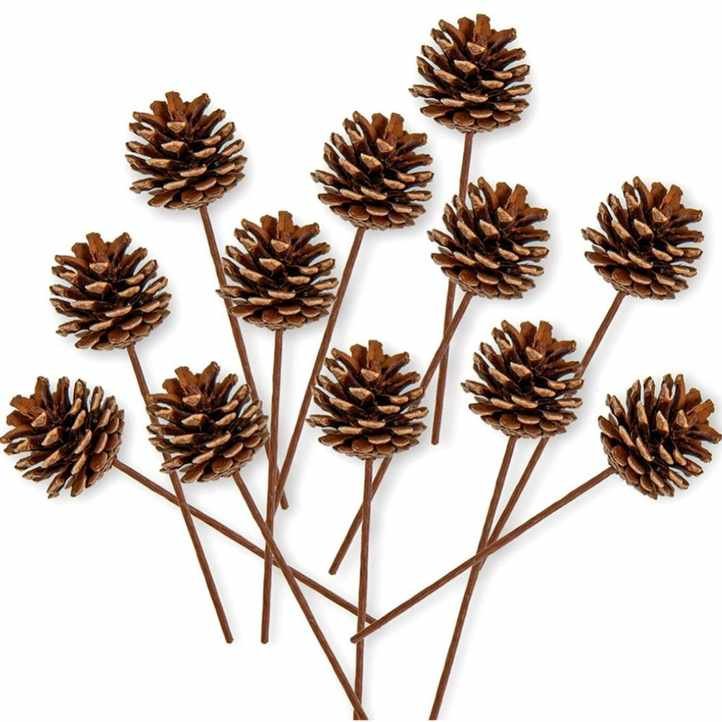 Set of 12 pinecones on wooden picks