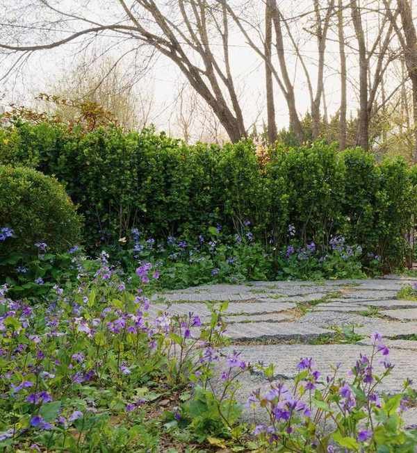 Garden path with lots of planting