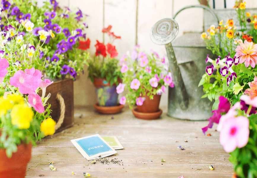 Essential Tips for Proper Seed Storage to Maximize Germination