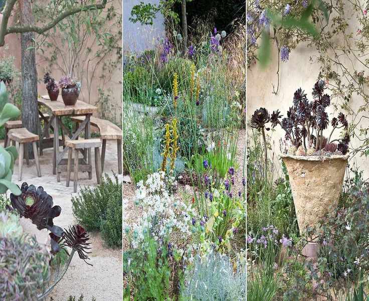 Drought-Tolerant Landscaping Ideas: 8 Savvy Solutions for Your Backyard