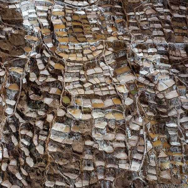 Salinas, Sacred Valley