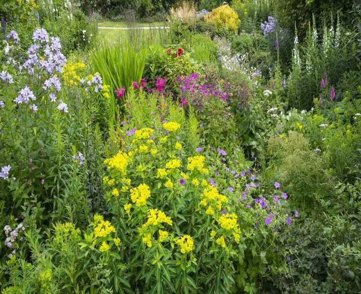 February Planting: 11 Top Picks to Enhance Your Garden's Beauty