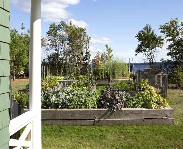 5 Resilient April Vegetables to Plant Now for a Bountiful Harvest