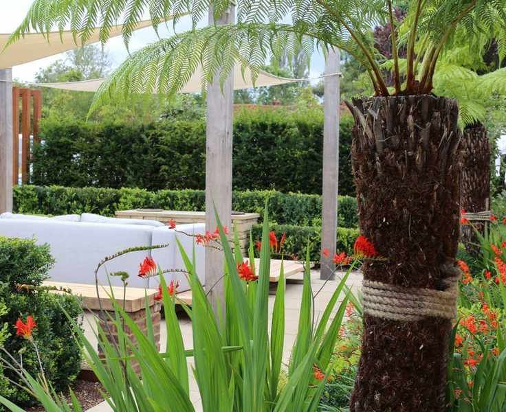 Courtyard with bold splashes of orange Crocosmia