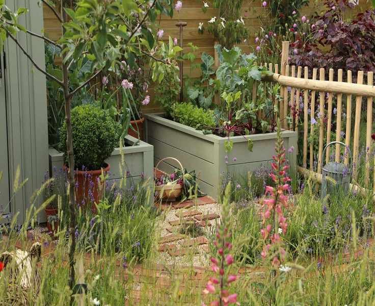 Building a Raised Garden Bed: Essential Materials and Planting Tips