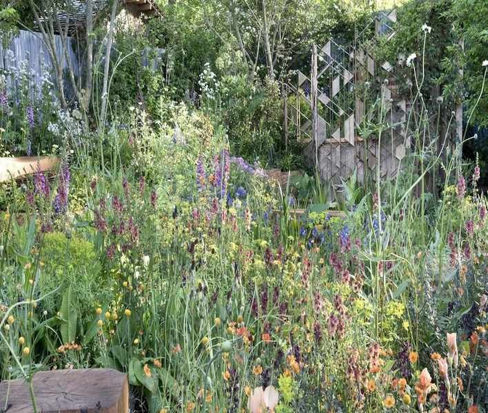 Top Plants for Boosting Mental Health: 7 Picks for a Tranquil Space
