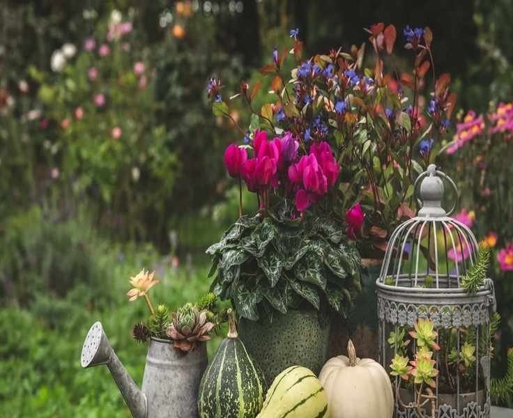 Extend Your Garden's Life with Vibrant Fall-Flowering Bulbs