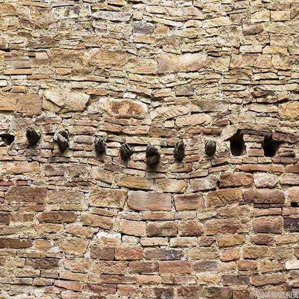 Chaco Canyon wood beams