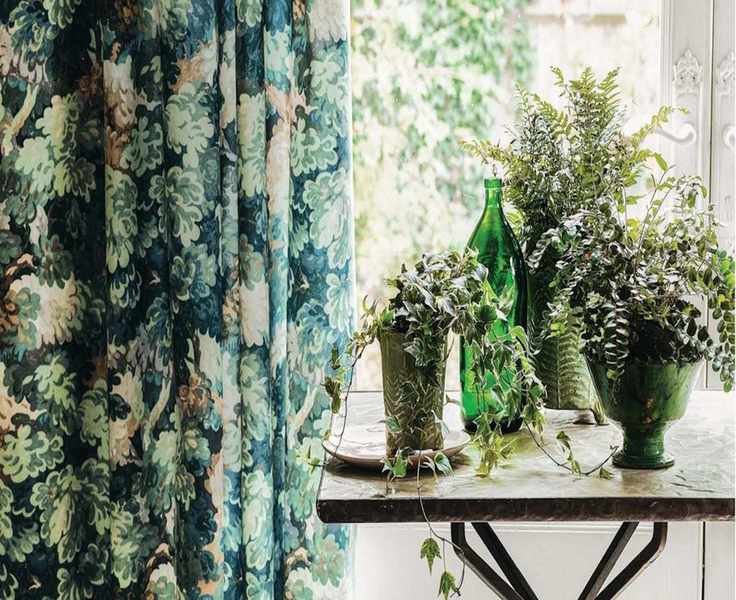 This 3-Second Houseplant Trick in April Boosts Growth and Fights Pests