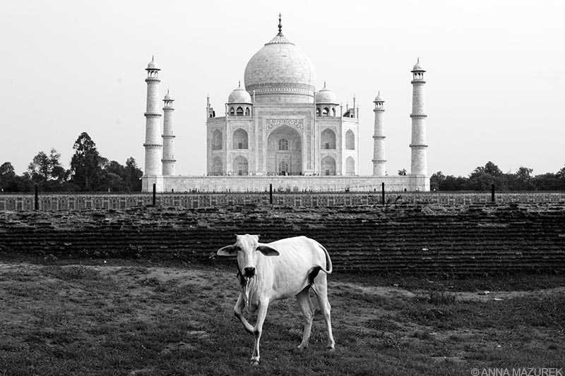12 Must-See Destinations in India: Metab Bagh