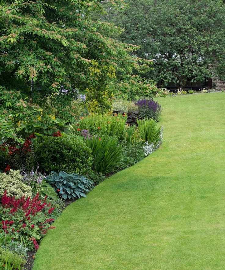A lawn with a curved, trimmed border with flowers and shrubs