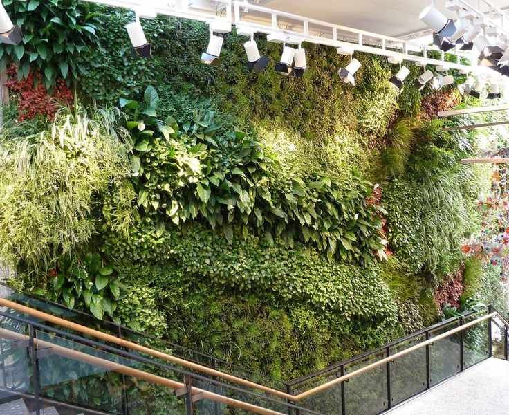An indoor living wall design at a retail space