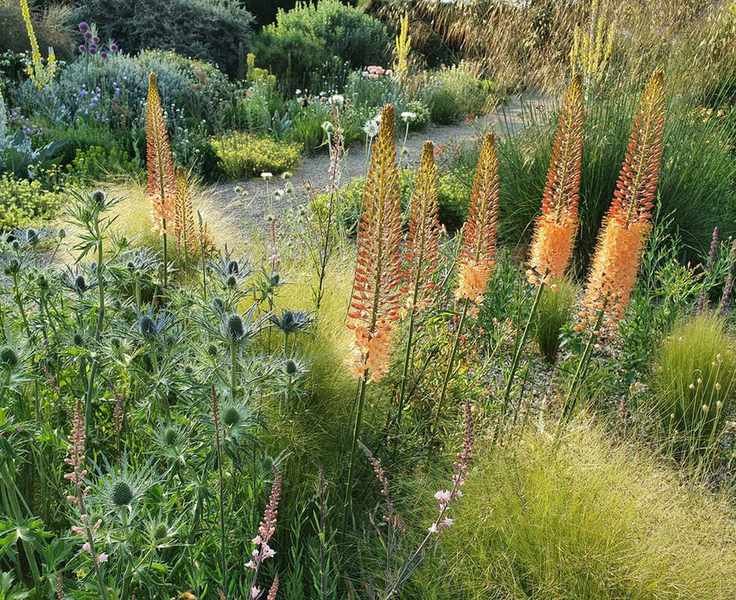 sensory planting in garden border