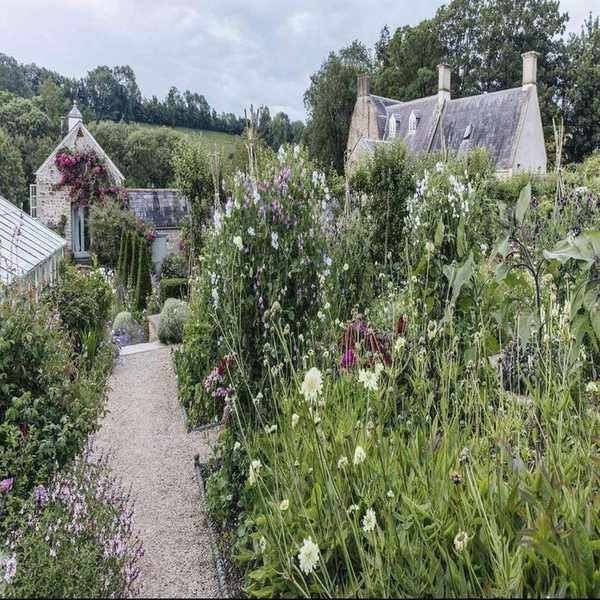 Planting a Cottage Garden Border for a Charming Touch