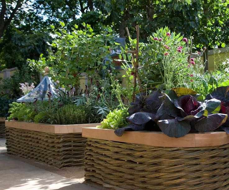 raised beds in vegetable garden