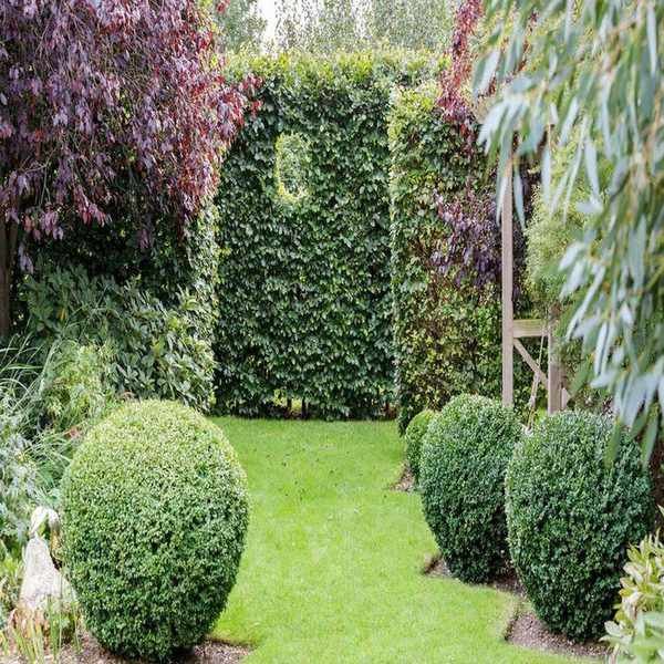Creative Garden Edging Ideas for Beautiful Borders