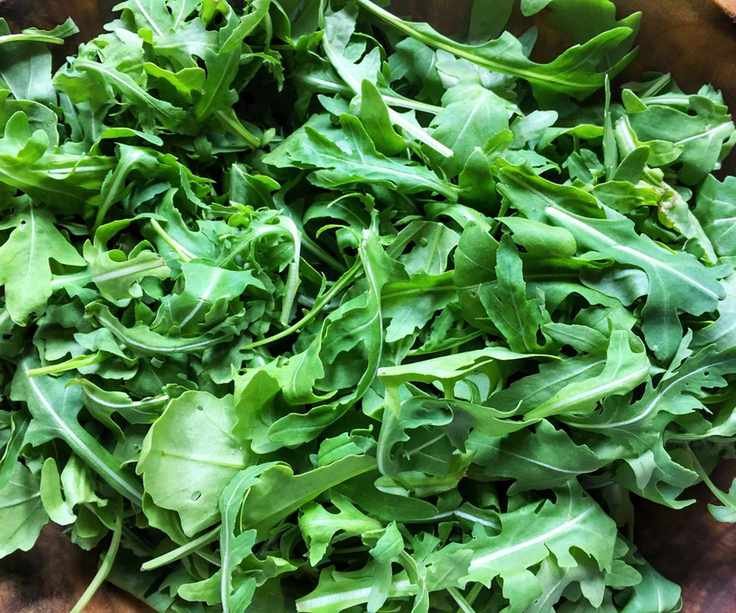 Close-up of arugula in a bowl