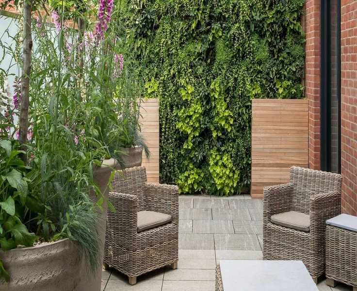 Innovative Living Wall Ideas for a Lush Vertical Garden