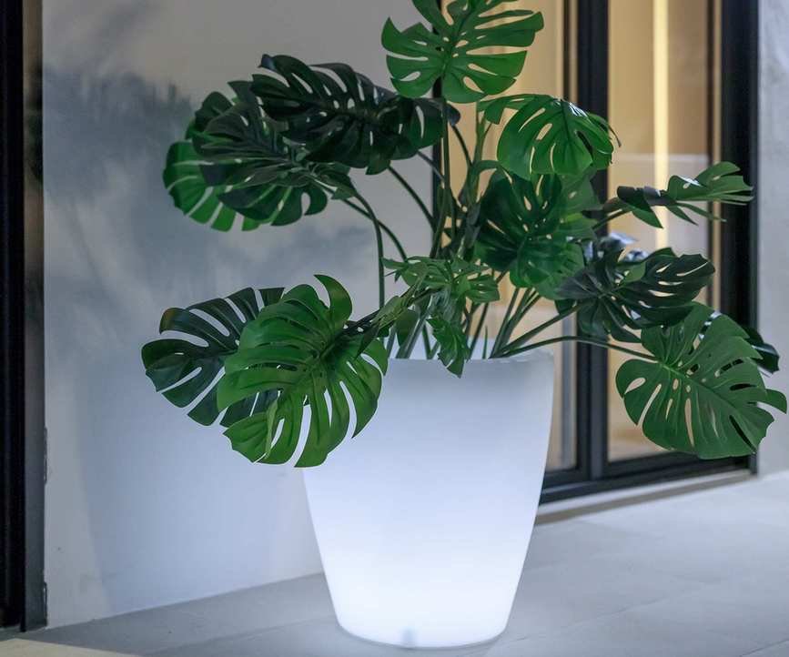 VIOLETA illuminated pot with a green monstera plant