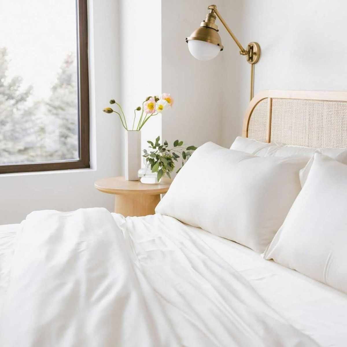 Your Home's Essential Guide to Comfort and Cleanliness