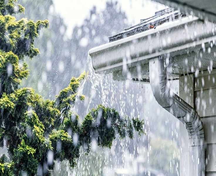 Prepare Your Yard for Storms: 8 Expert Tips to Safeguard Your Space