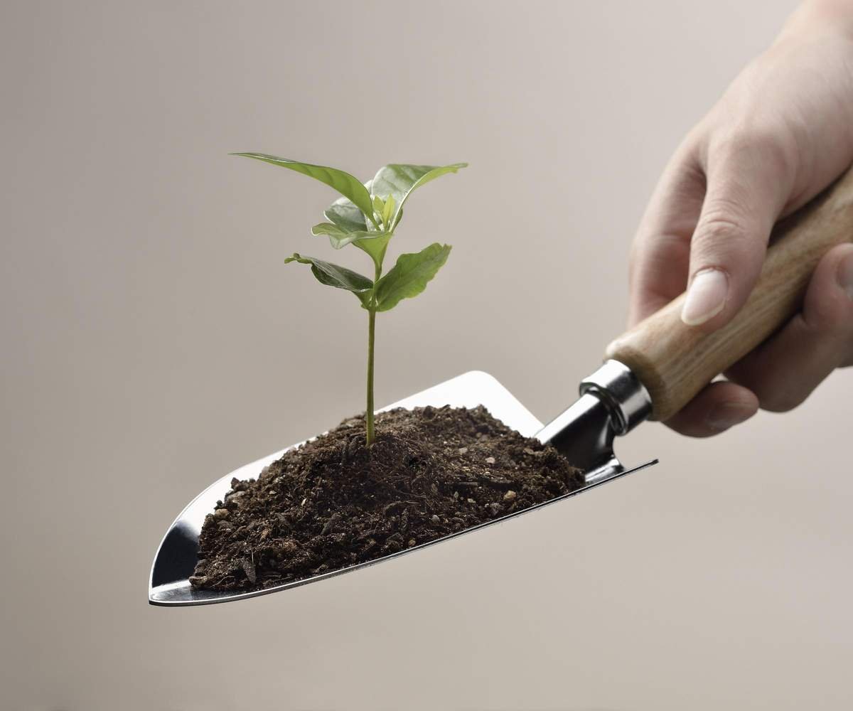 Hand trowel