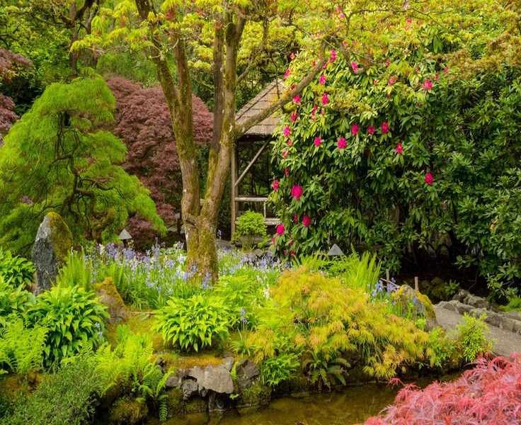 Top Plants for a Japanese Garden: 7 Essential Varieties for Serenity