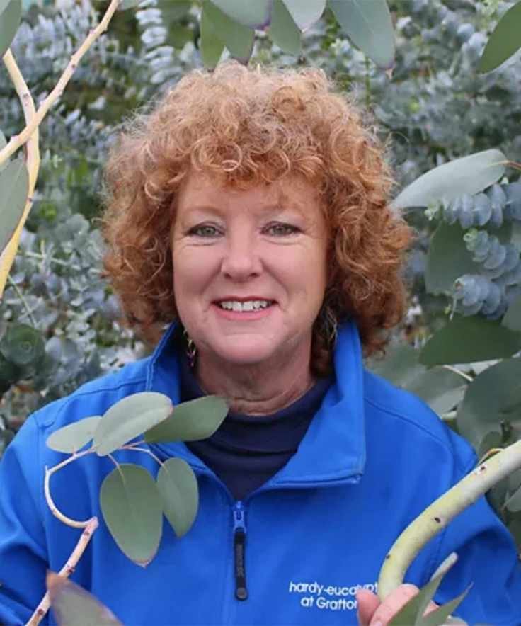 Hillary Collins at Hardy Eucalyptus headshot