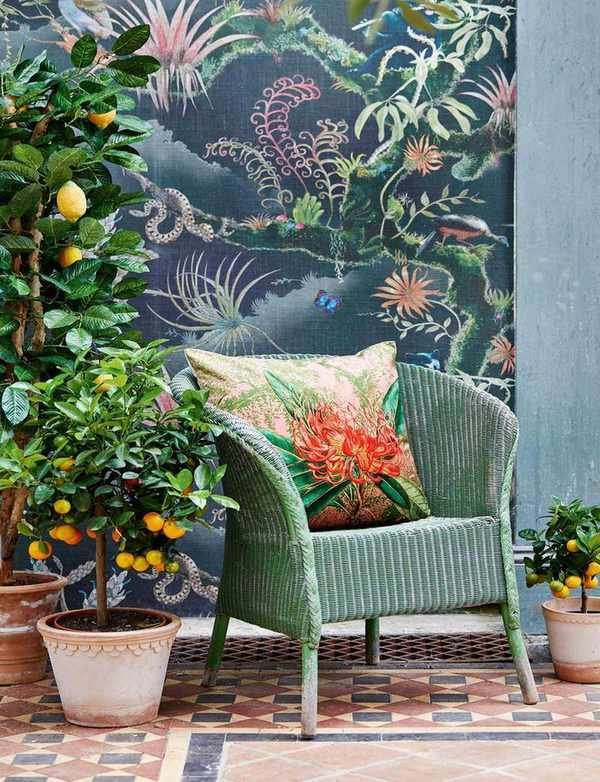 lemon tree and chair in conservatory