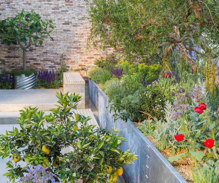 The lemon tree trust garden
