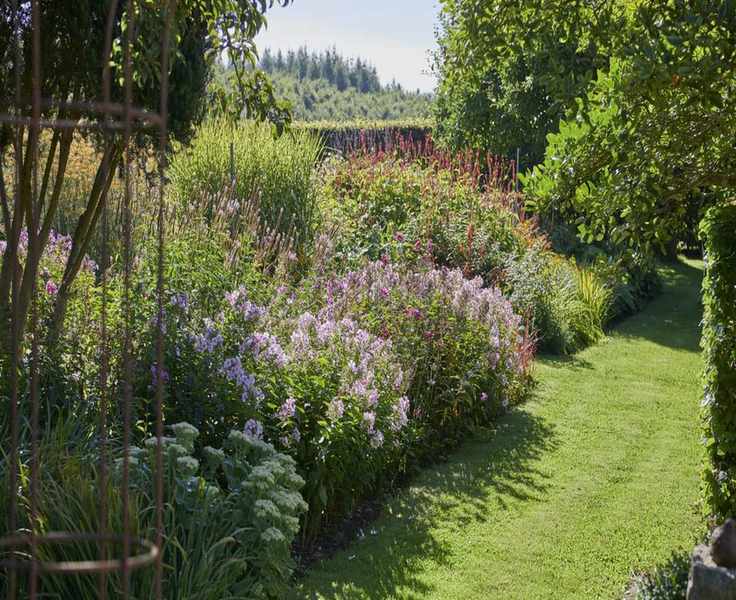 Top 5 Flowering Shrubs for Full Sun: Thriving in the Heat