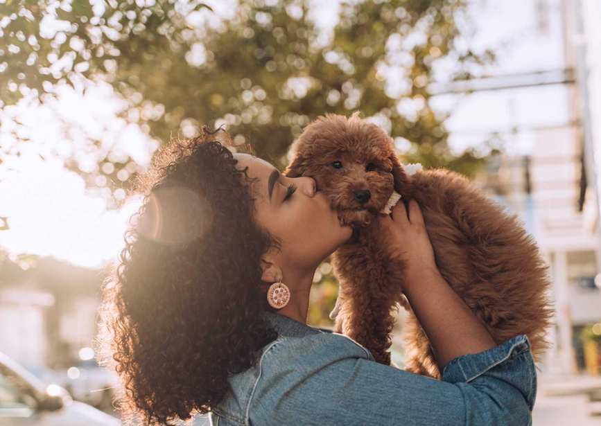 Why Pet Insurance Is a Smart Choice for Your Furry Companion