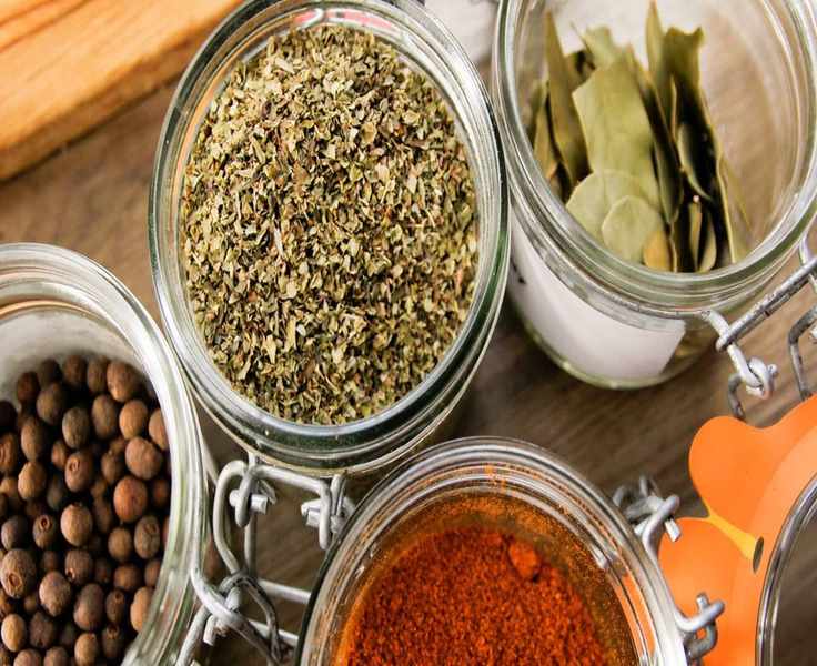 Natural Spices to Keep Garden Pests Away – 3 Effective Repellents