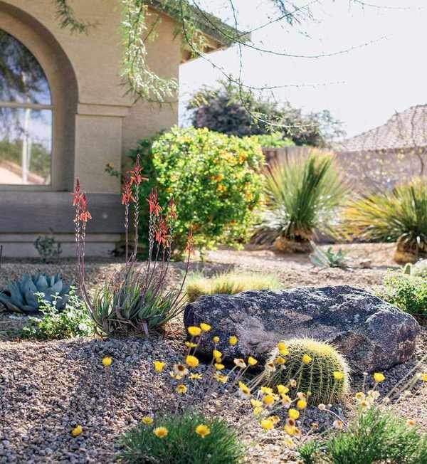 xeriscaped garden design