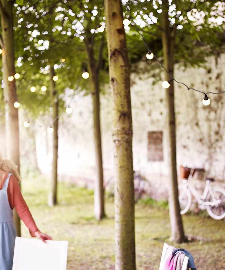 Trees with festoon lighting hanging between them in a garden