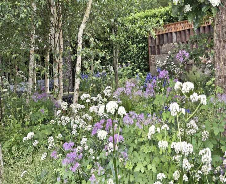 7 Perennials Perfect for Planting in May for a Flourishing Garden