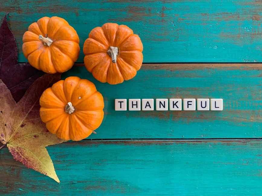 Thankful for These Savvy Money Tips from Our Community