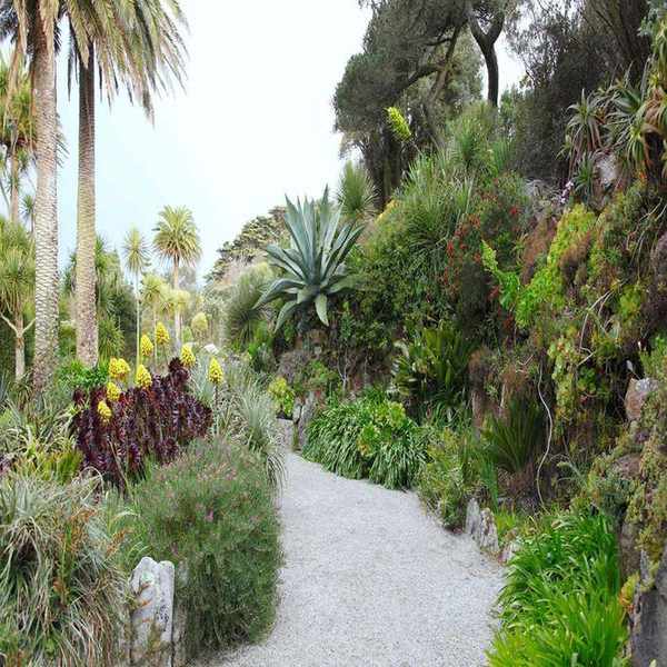 Vibrant Tropical Garden Ideas to Transform Your Outdoor Space