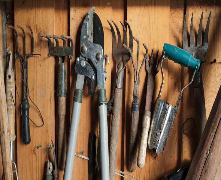 10 Must-Have Gardening Tools for Every Gardener's Toolkit