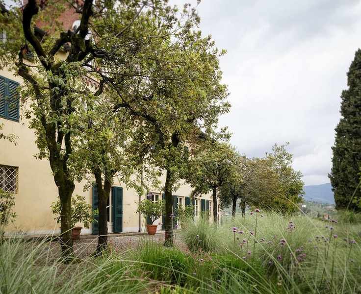 Mediterranean garden ideas on a gravel driveway