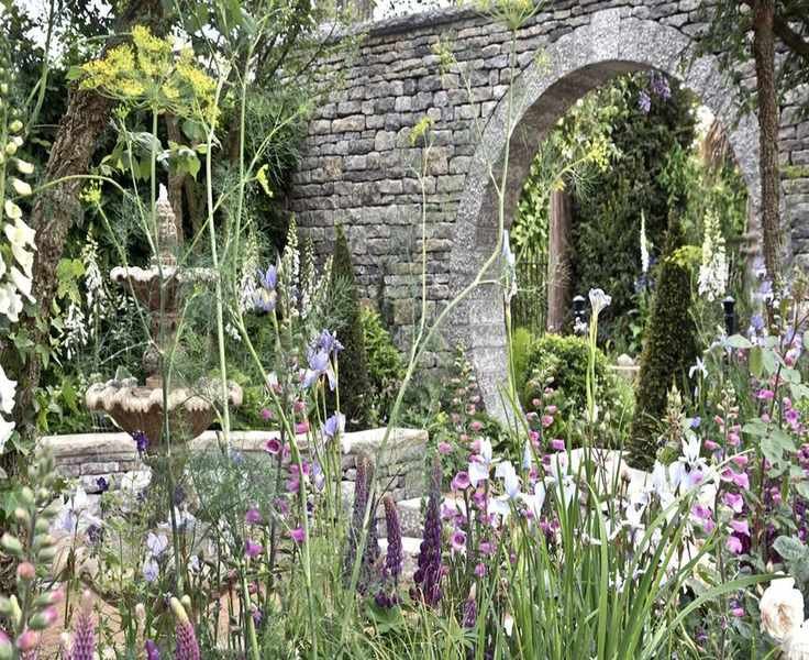 Peat-Free Compost: Eco-Friendly Options for a Thriving Garden