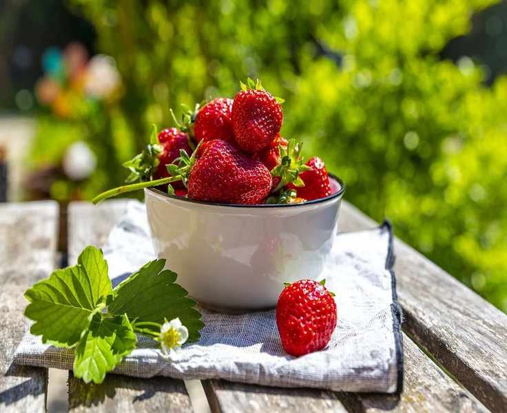 Growing Strawberries: Tips for Seed and Runner Cultivation
