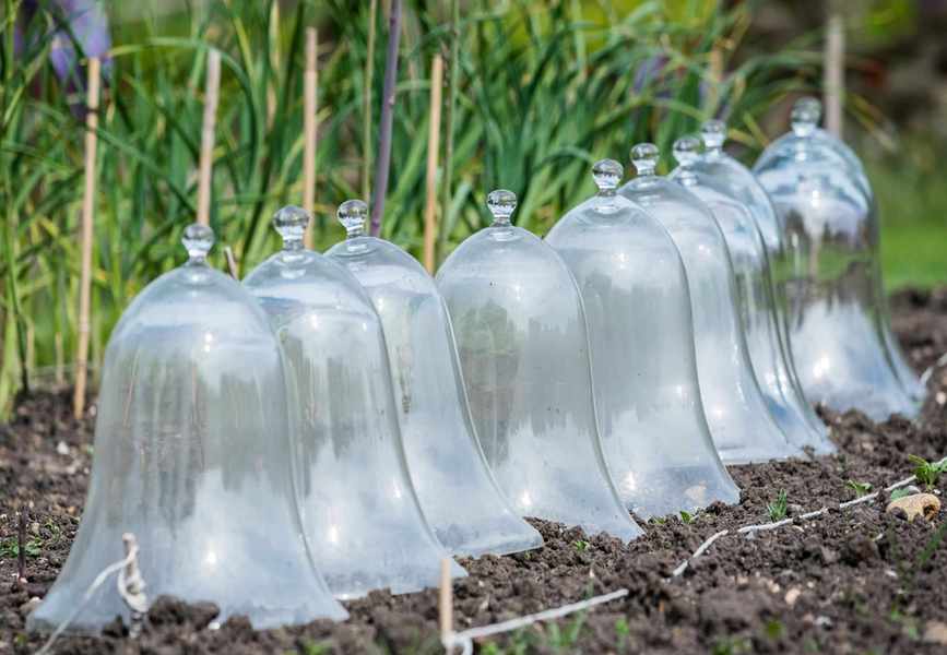 Warming Up Soil: Simple Methods for Preparing Ground for Planting