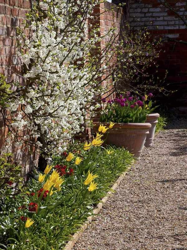 trees in garden underplanted by bulbs