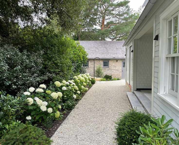 evergreen used for screening and hedging beside house and garden path