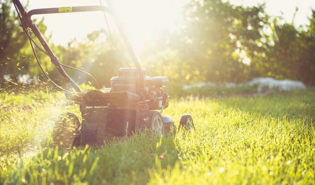 When to Make Your Last Mow of the Year for Healthy Grass