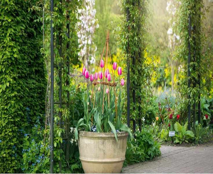 5 Materials to Avoid for Filling Large Planters for Healthy Growth